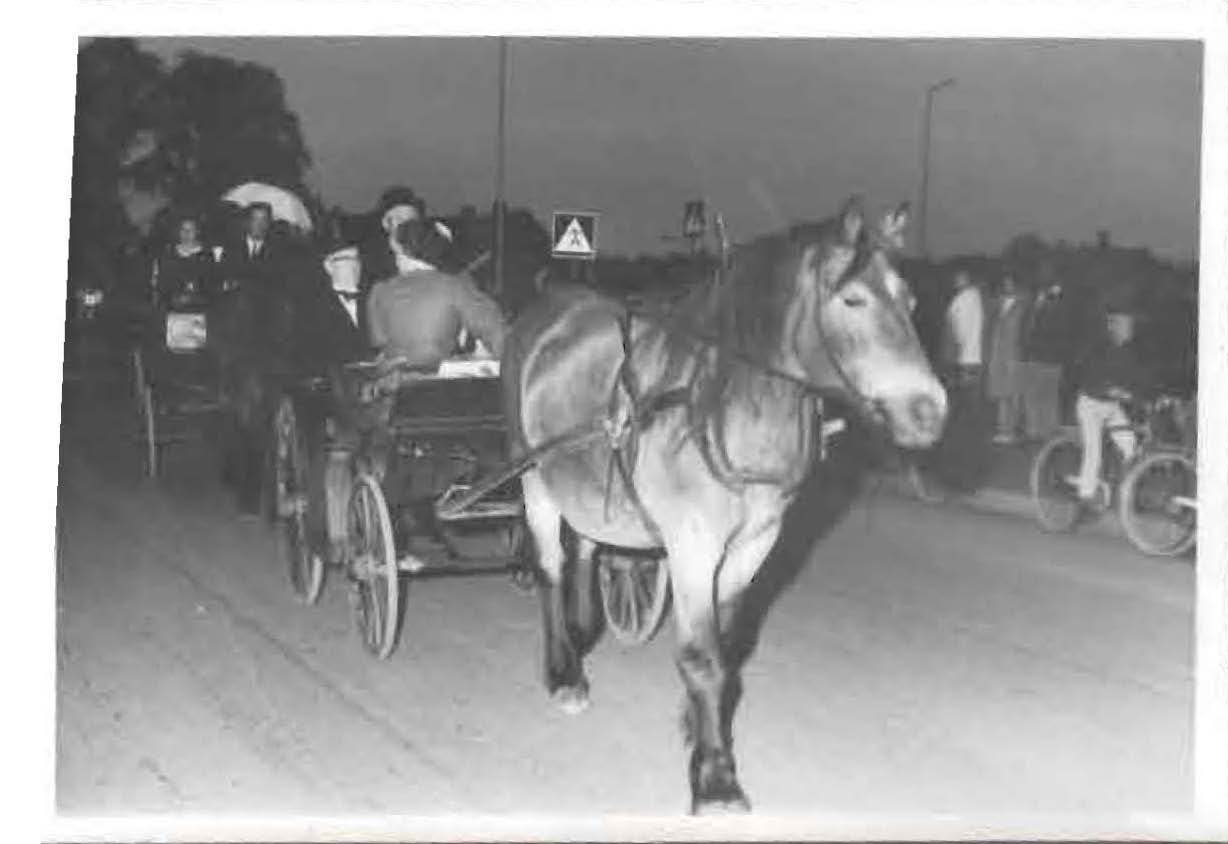 1970-57.jpg