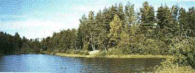Fosstjernet