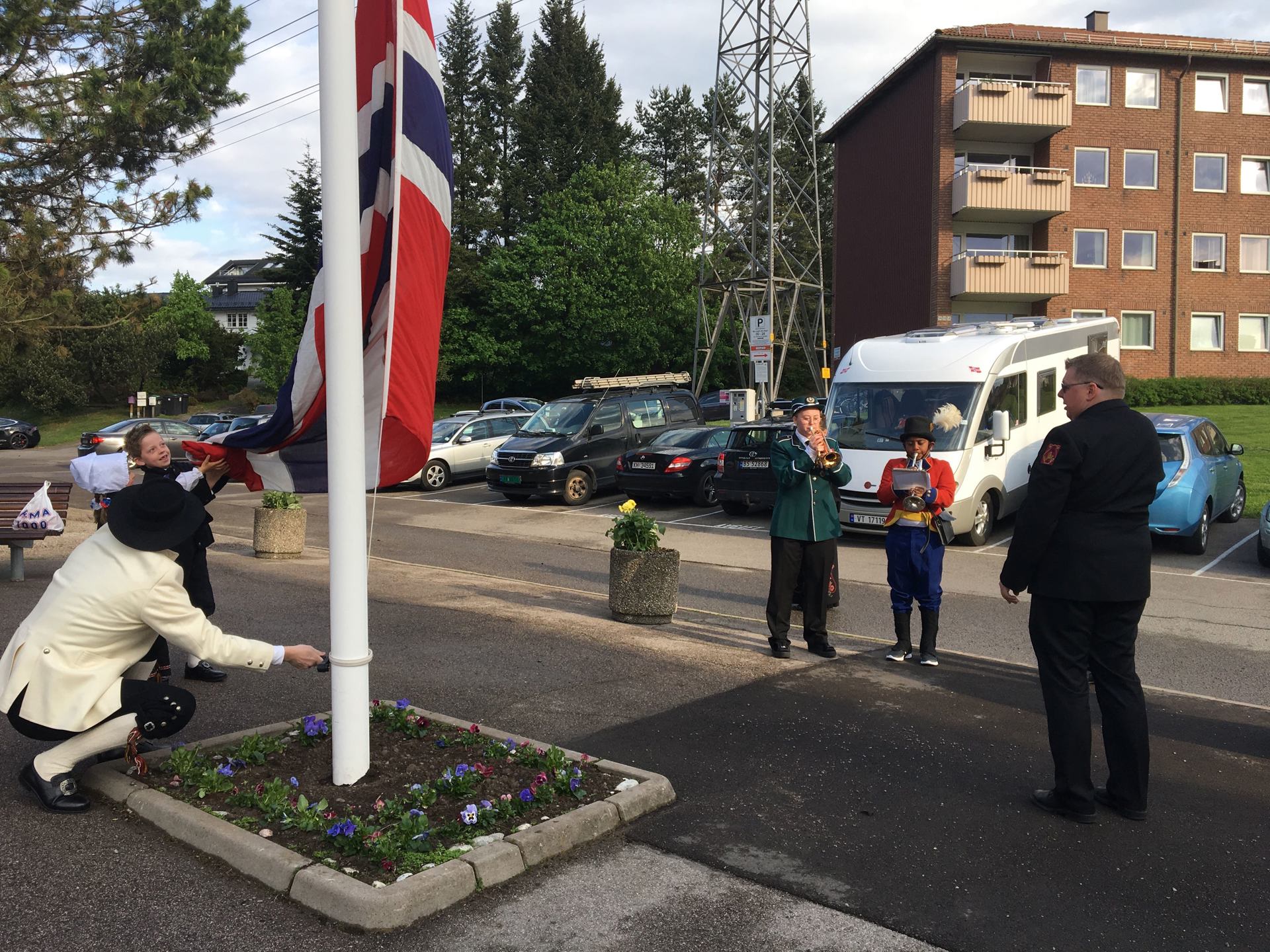 Flaggheis i Bjerkedalen Borettslag.jpg