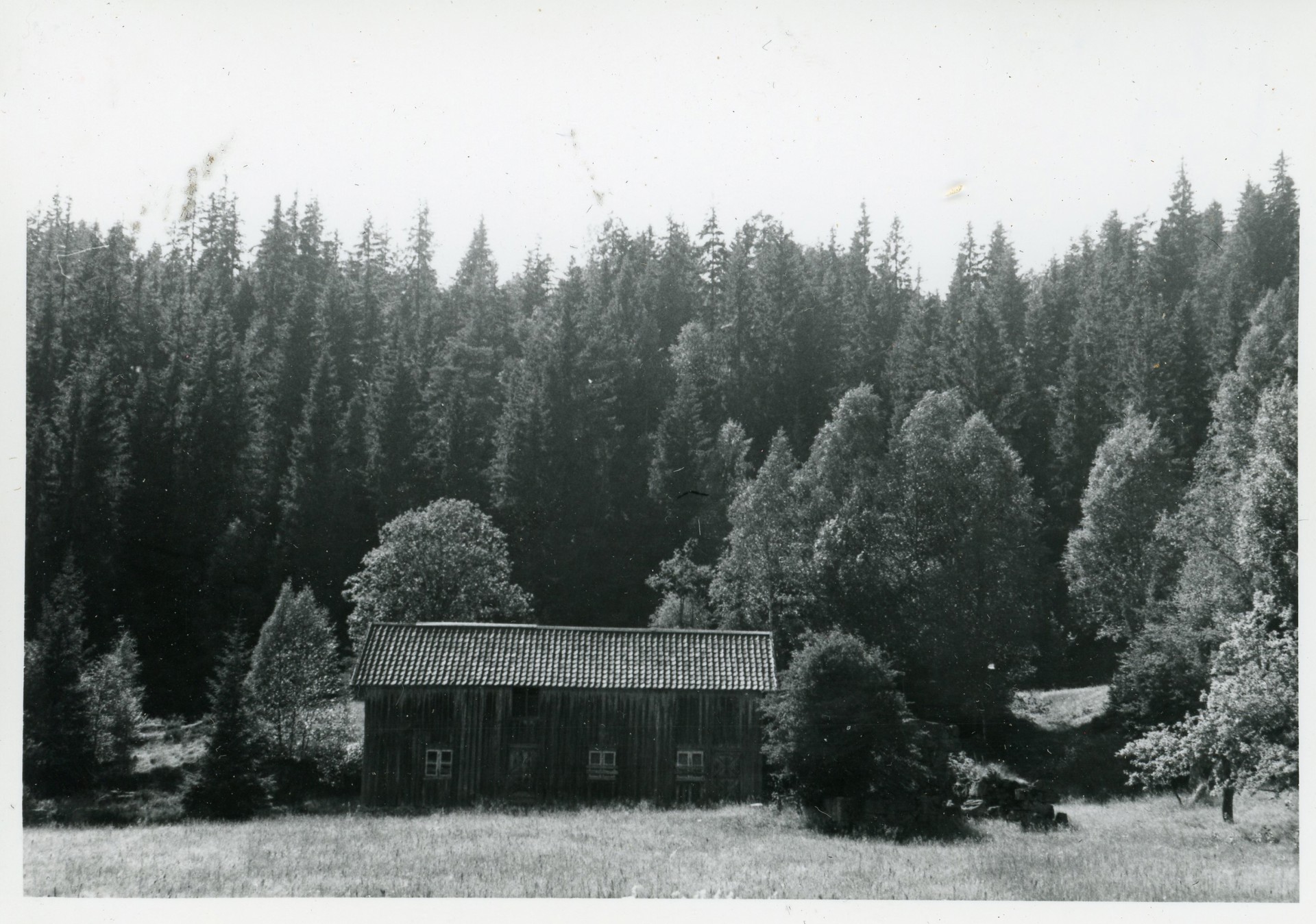 ANBB-K0263.jpg