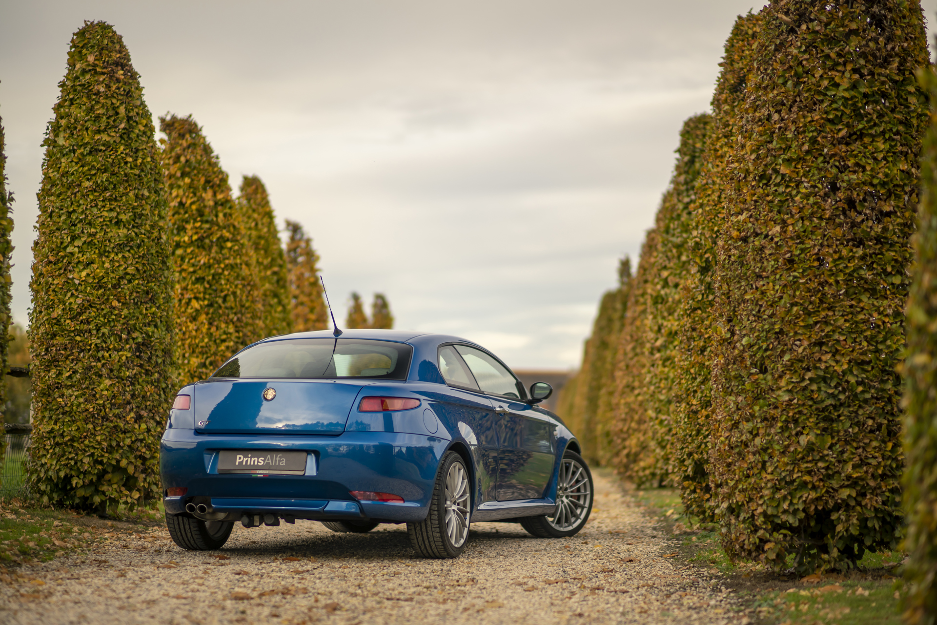 2x Alfa Romeo GT 3.2 Highres_3.jpg