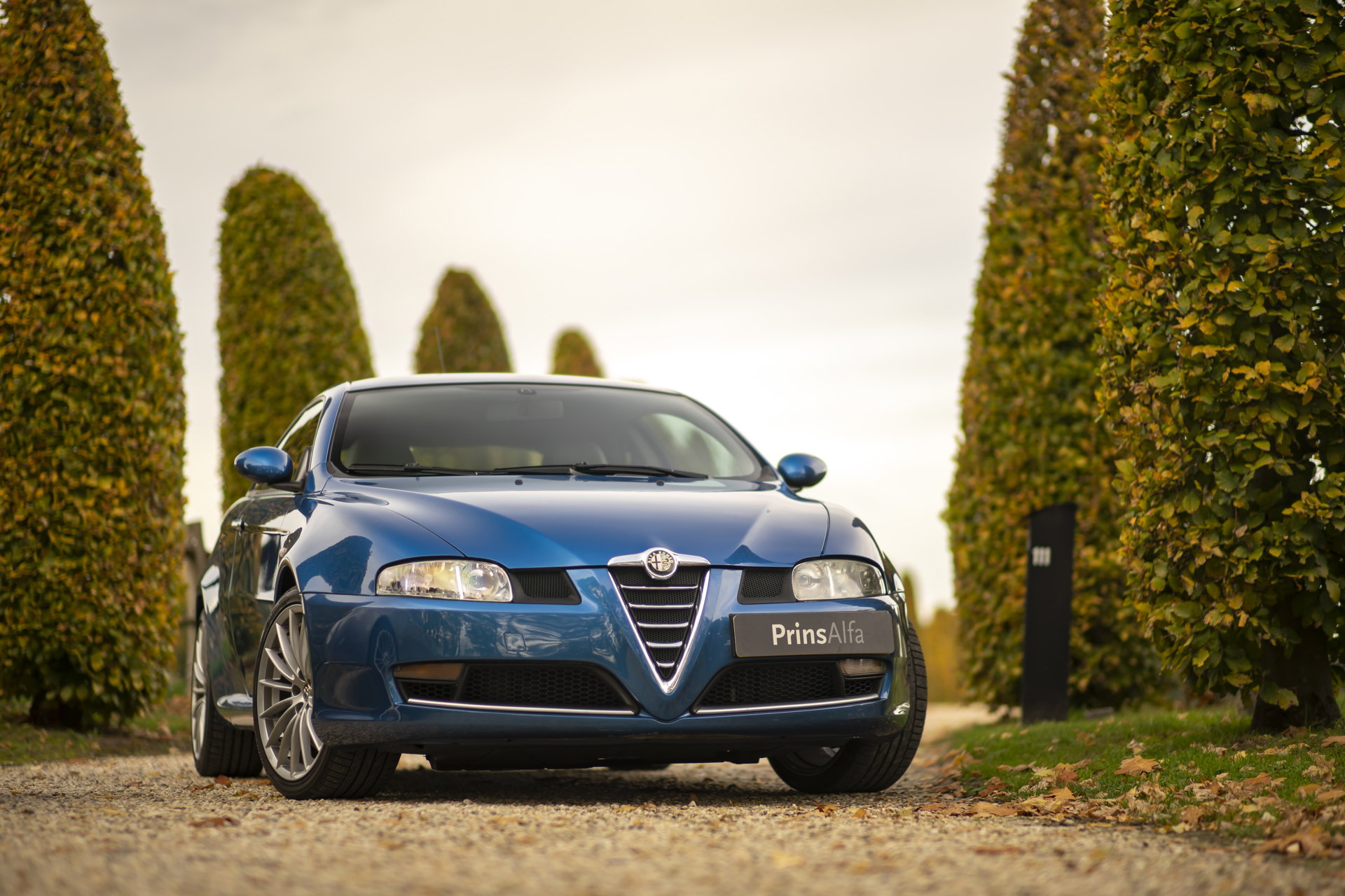 2x Alfa Romeo GT 3.2 Highres_7.jpg