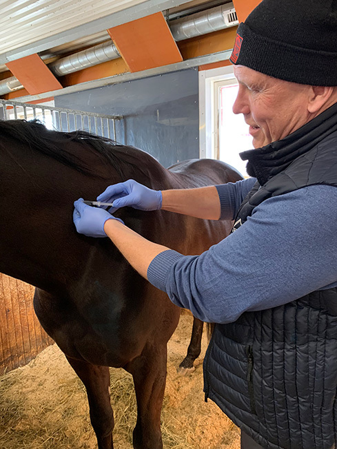 Wången vaccinerar alla hästar mot kvarka! 