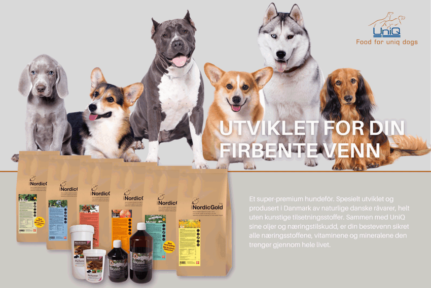 UniQ Hundefor - For aktive hunder