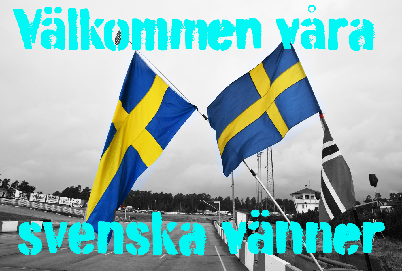 Välkommen våra svenska vänner