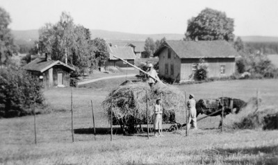 Høyonn på Ingjer i 1960-åra.