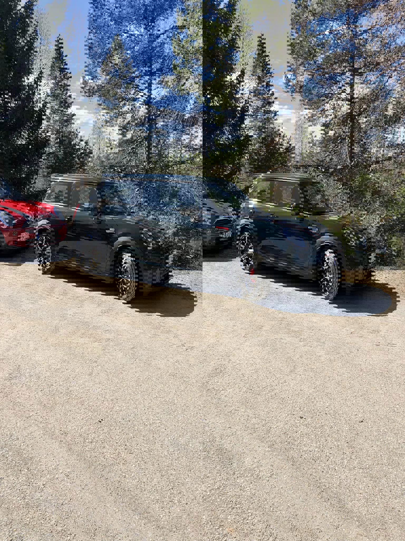 343524115_938451140813818_974173197850562436_n.jpg