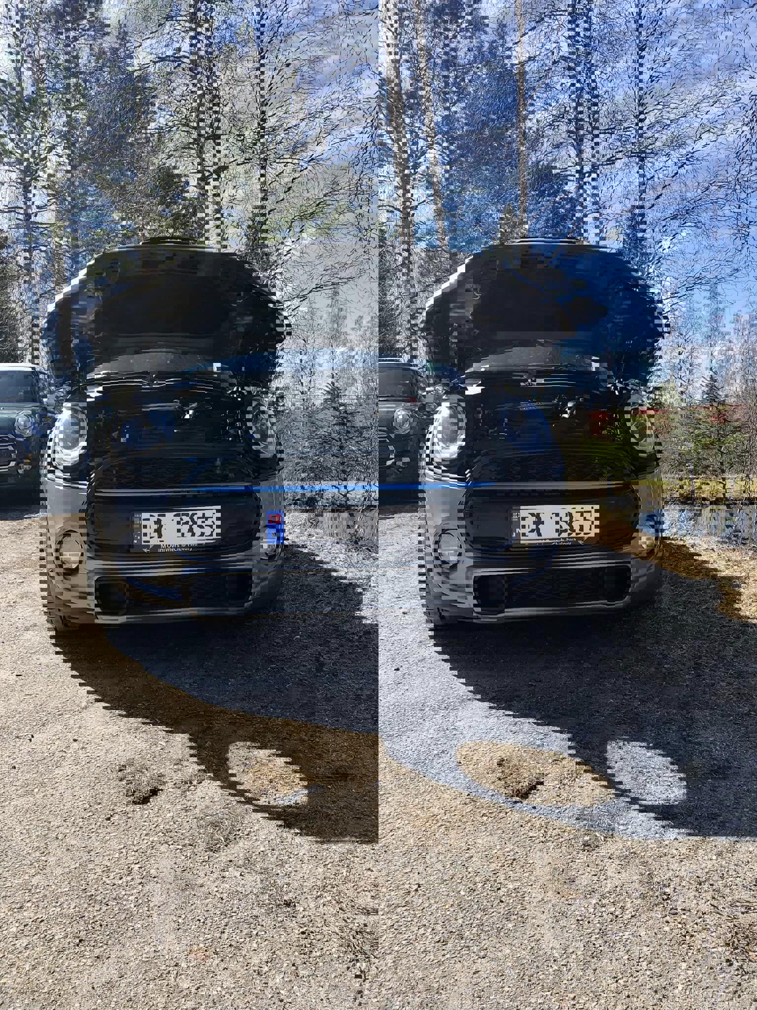343991893_941096820539423_458486617201014455_n.jpg