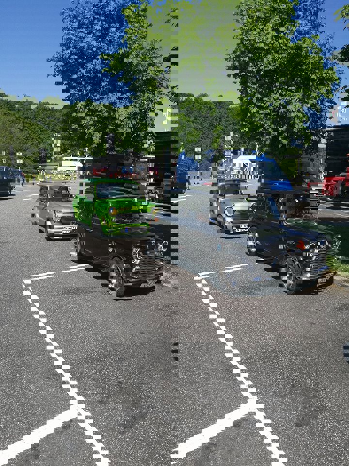 32648684_10216053167986875_6708359937027735552_n.j