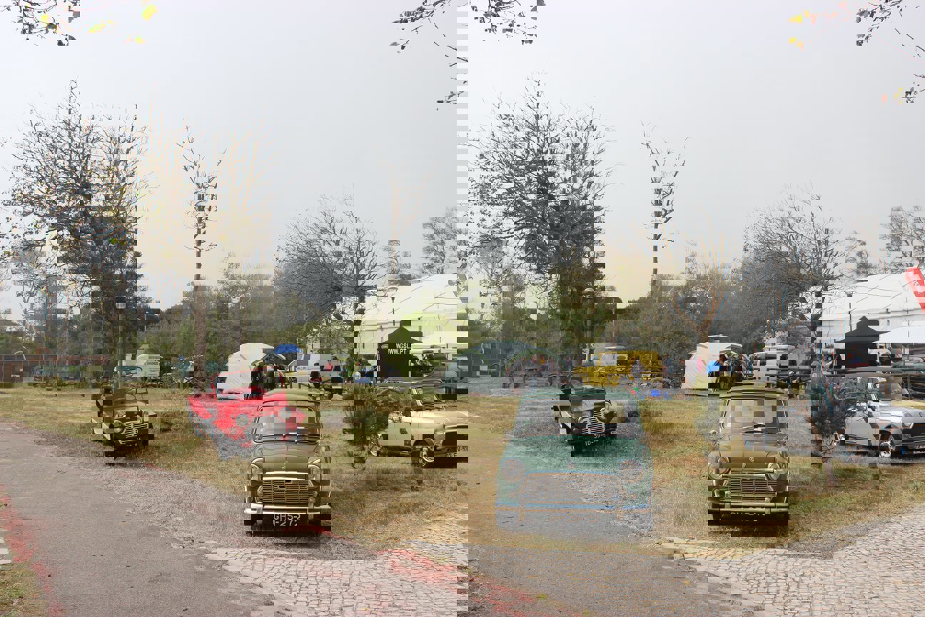 32834008_2467405453285244_4814650908522577920_o.jp