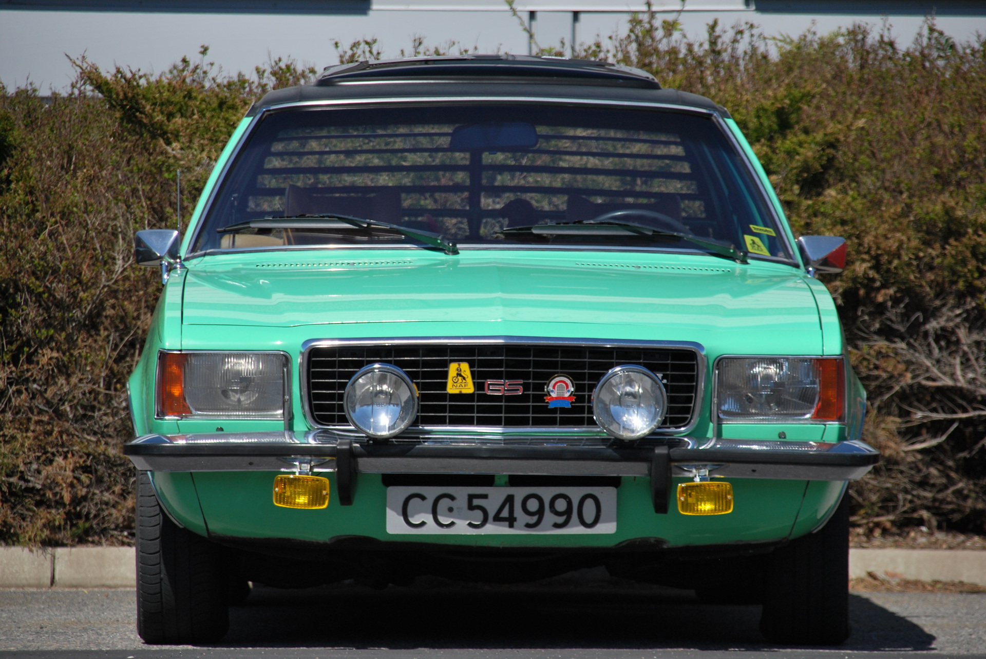 DSC_0015.JPG