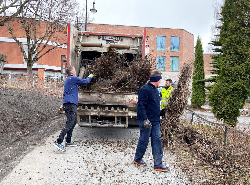 Kvistinnsamlingen planlegges 24. - 26. april