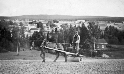Ole Hammeren driver våronn med hest på Topp1947. 