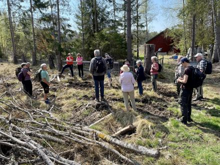 Historielaget arrangerte kulturvandring til Brekke-grenda på Nestangen. 
Foto ved Jan Erik Sørlie.