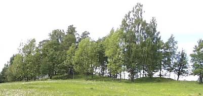 Gravhaug ved Prestegårdshavna