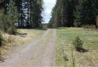 Svenskesletta Svenskesletta