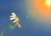 Artikkelbilde til artikkelen God sommer!