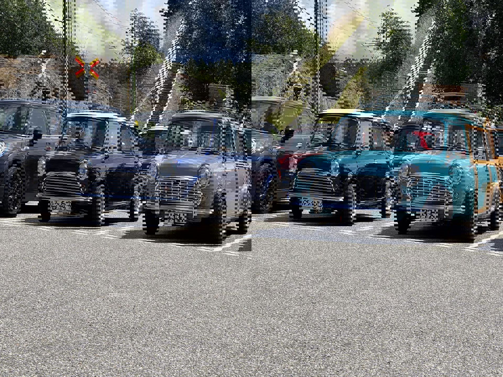 350374979_7142621432420365_4732167637476633865_n.j
