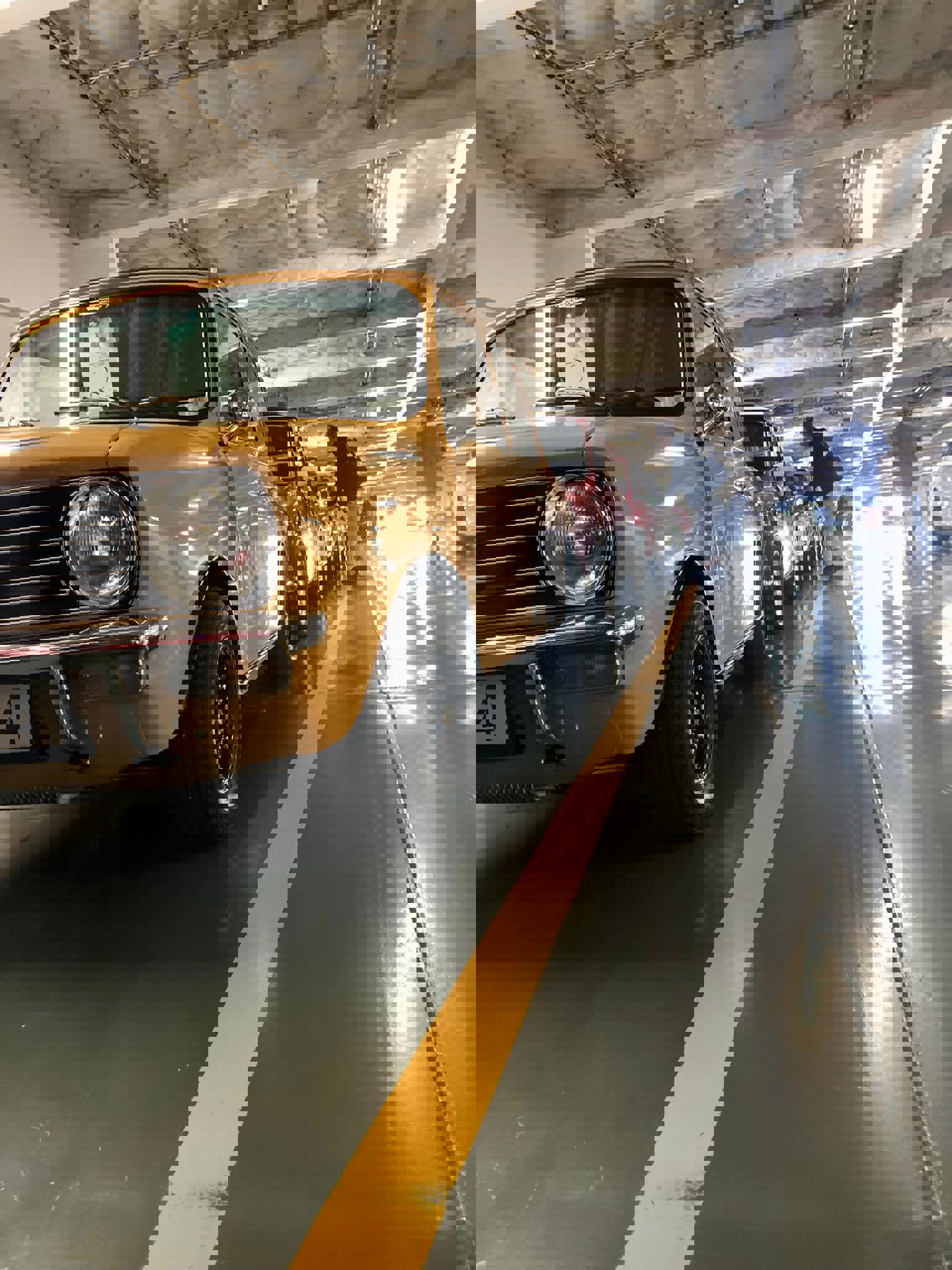 356821014_10160705692296665_123851647102299777_n.j