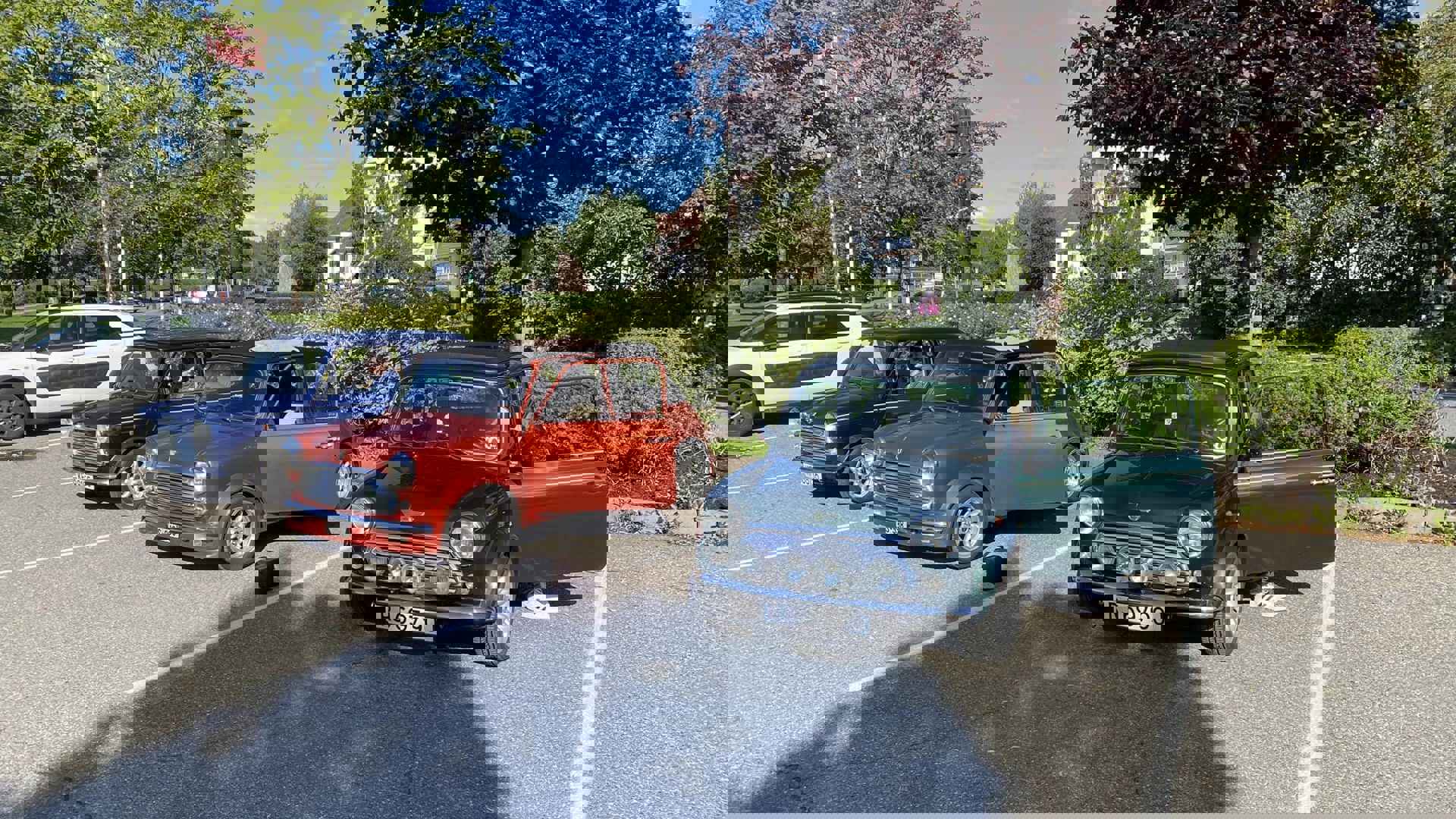 363342025_10159518257717108_2926310273976884718_n.
