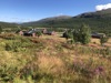 Artikkelbilde til artikkelen Sikkilsdalseminaret er fulltegnet