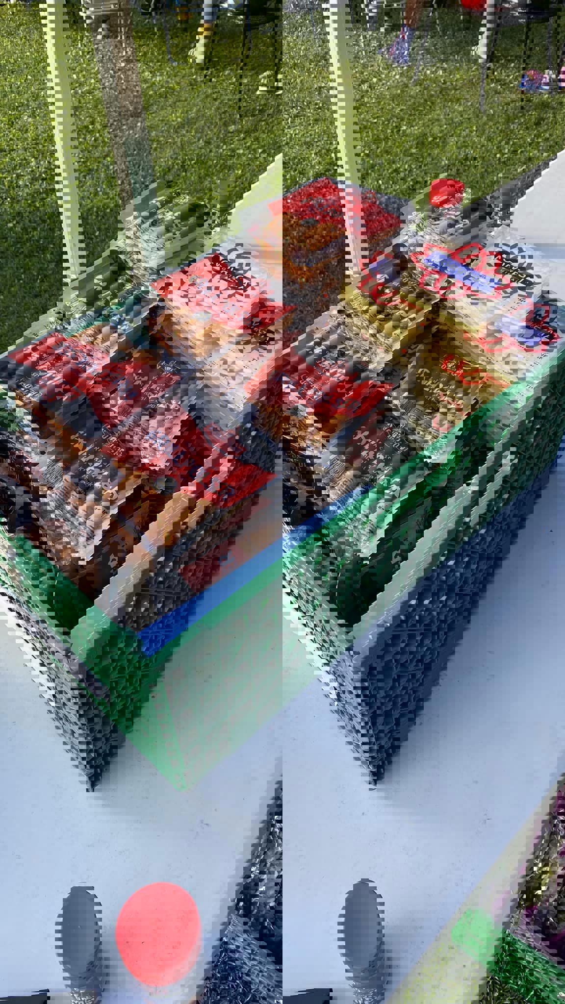 366383391_10159548015972108_6743299844587814476_n.