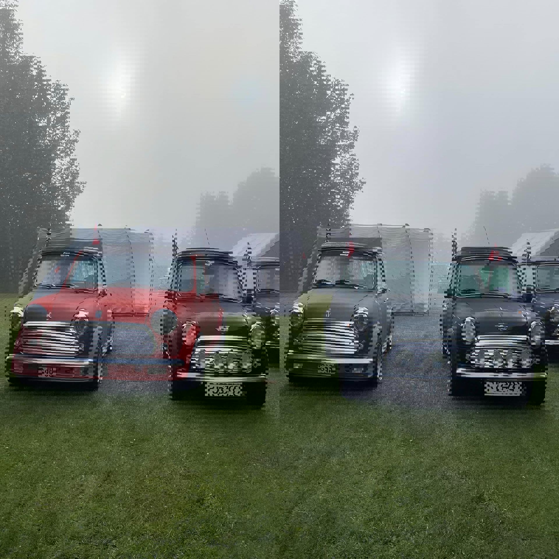 363942599_10159899216337695_8037627826974525311_n.