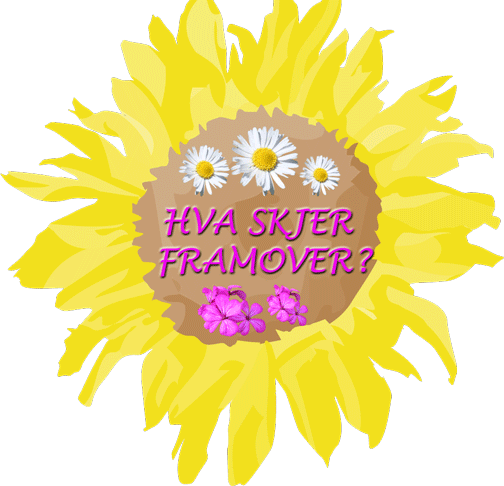 Hva skjer framover nå?