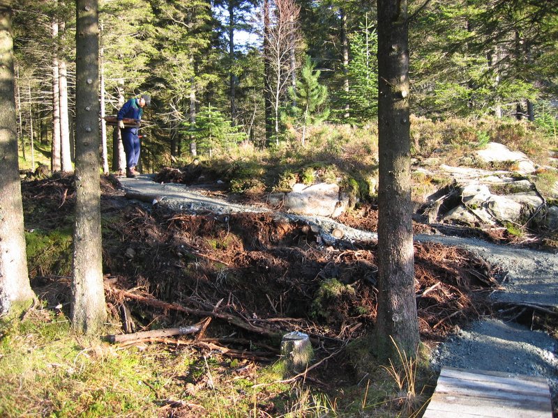 Stien fra BT buen ved Søndre Kamvei til Skomakerdi