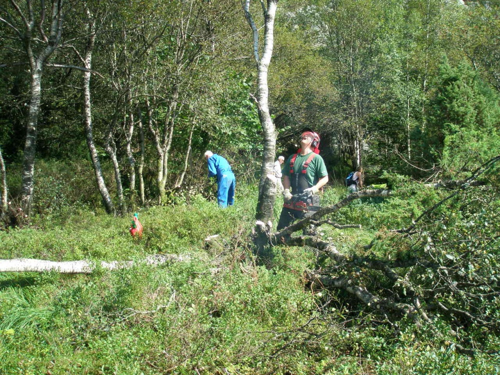 Søndre Kamvei rydding av skog 22-08.jpg