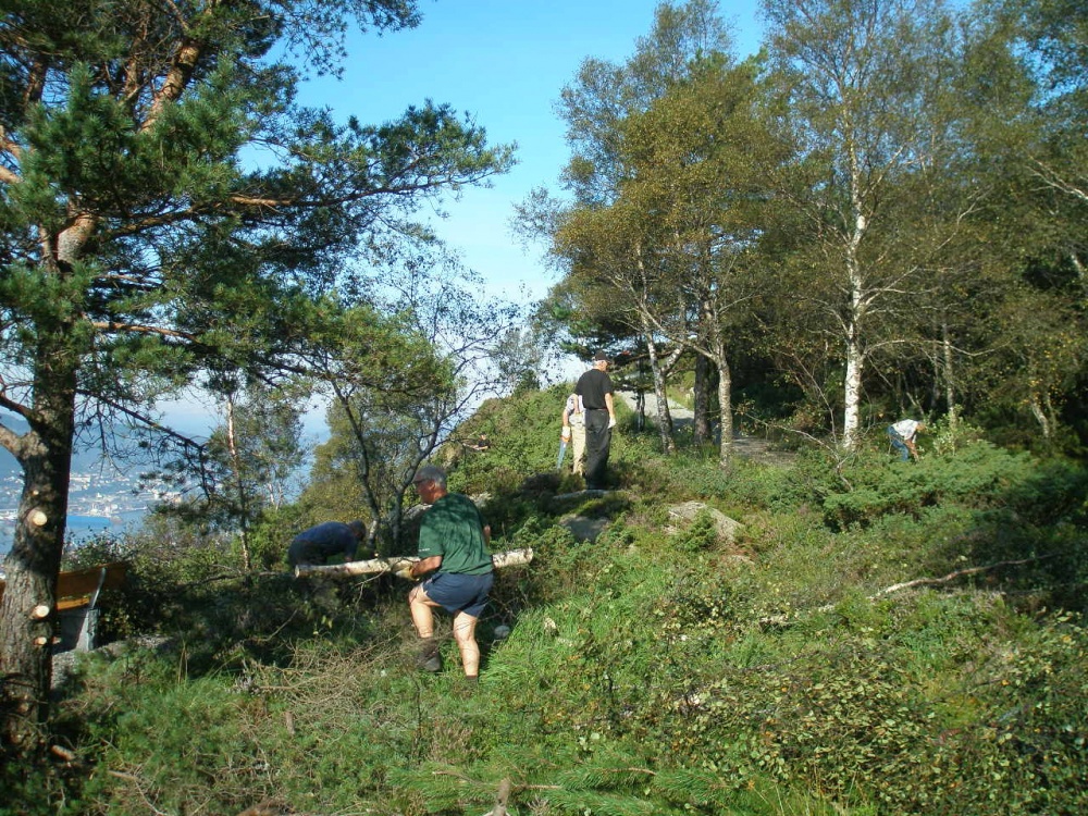 Søndre Kamvei rydding av skog 22-08-2.jpg