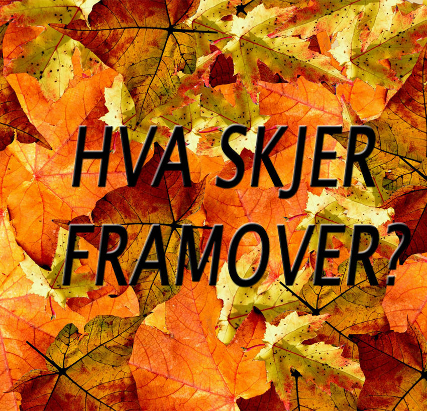 Hva skjer framover nå?