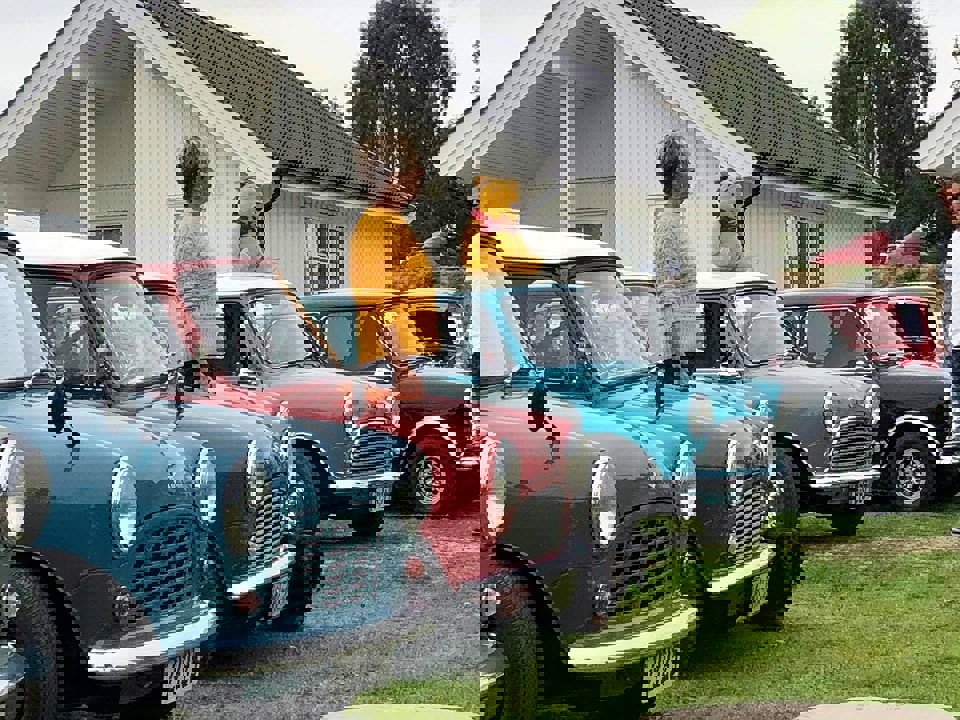 38965528_2026165294061945_6274934291604439040_o.jp
