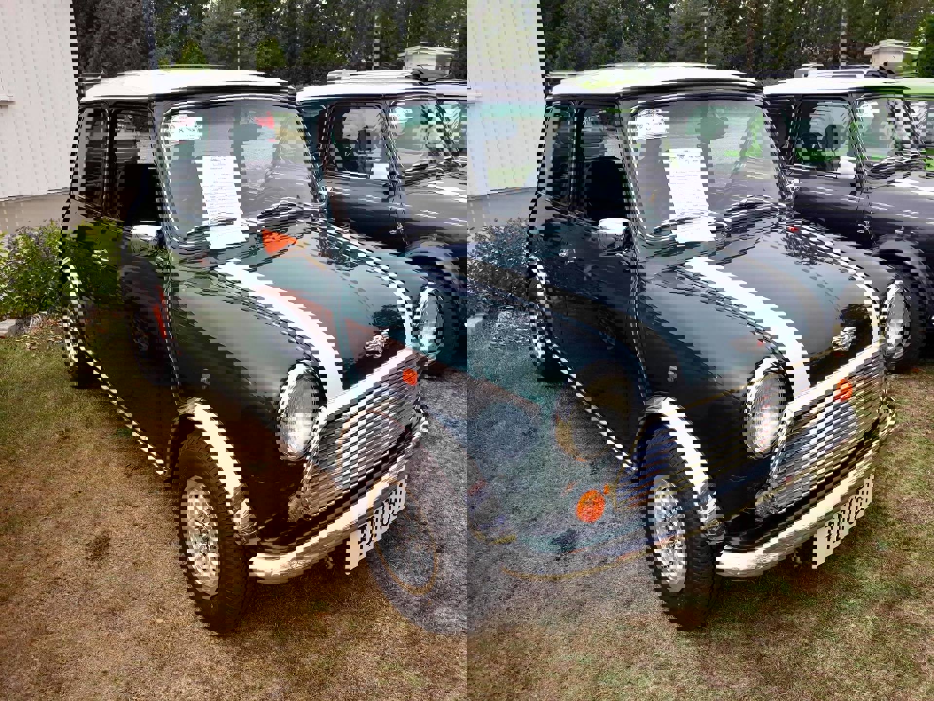 39243097_2033106186701189_7929056016975527936_o.jp
