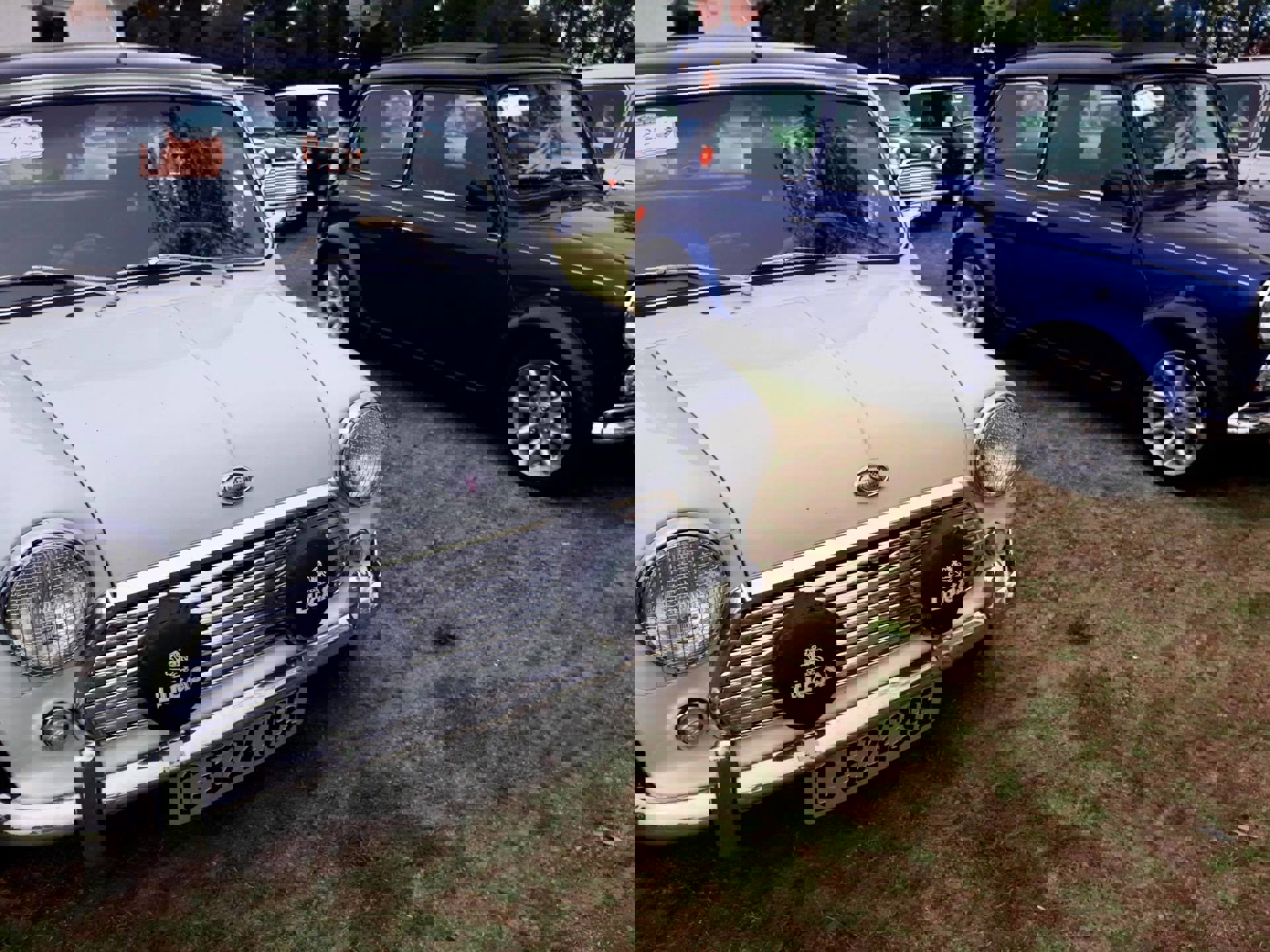 39288513_2033105213367953_2062648139709415424_o.jp