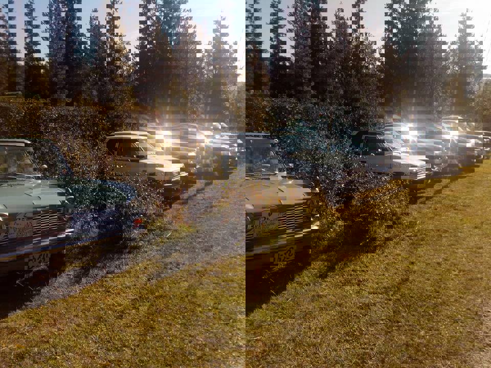 40603050_10204996950078816_7273794211202203648_n.j