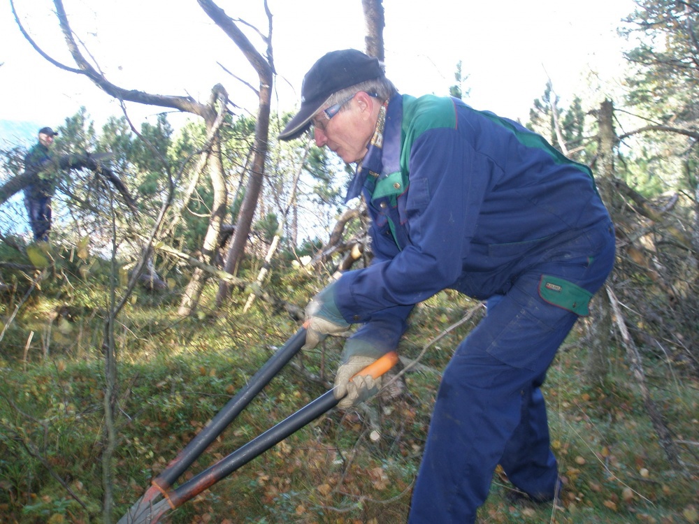 Opparbeidelse av ny sti ved Fløyvarden. 14.okt - 3