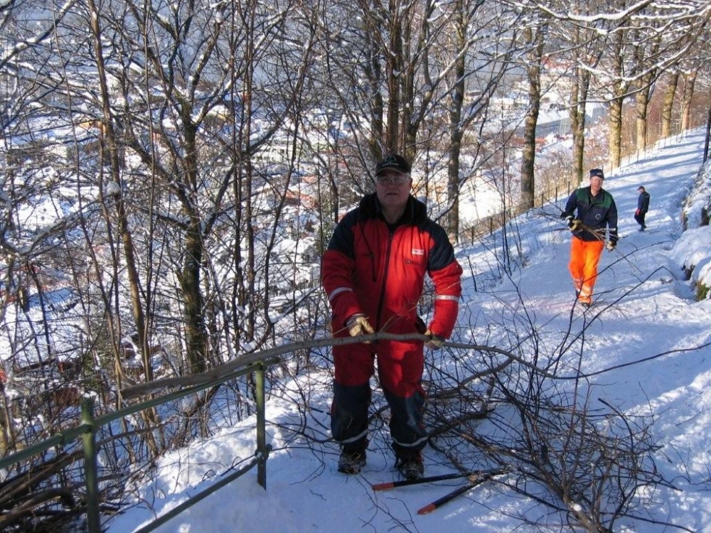 Rydding mellom Tippetue og Fjellveien 11.feb.-3-jp