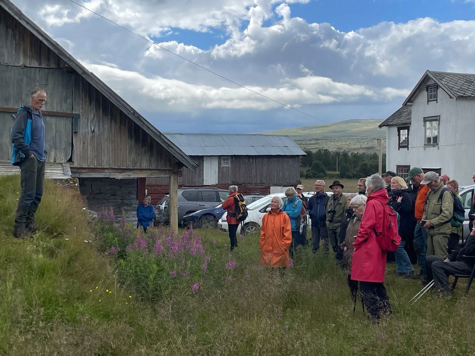 Grådalen – bosetting og geologi