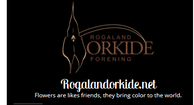 Skjermbilde.PNG