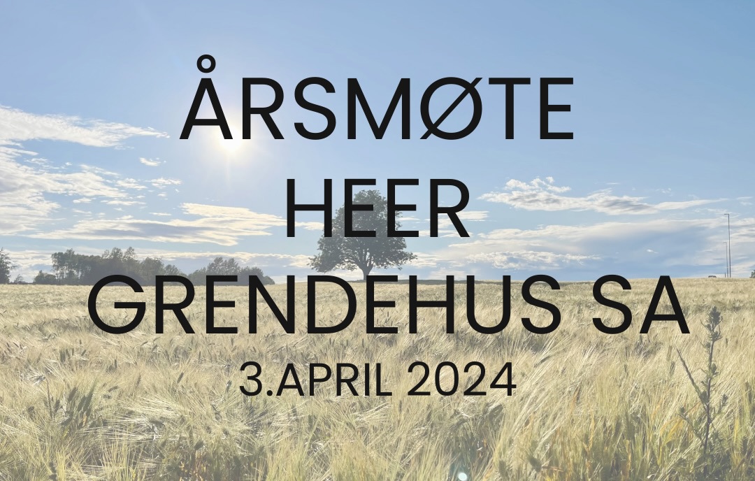 Årsmøte