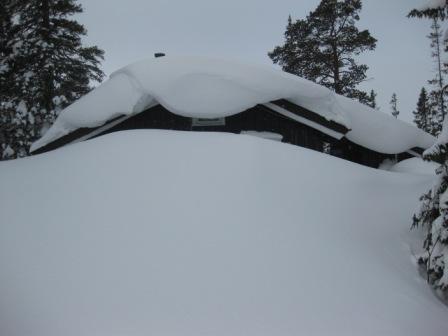 Snø på taket