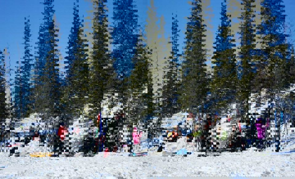 526658_141257246047025_244111704_n.jpg