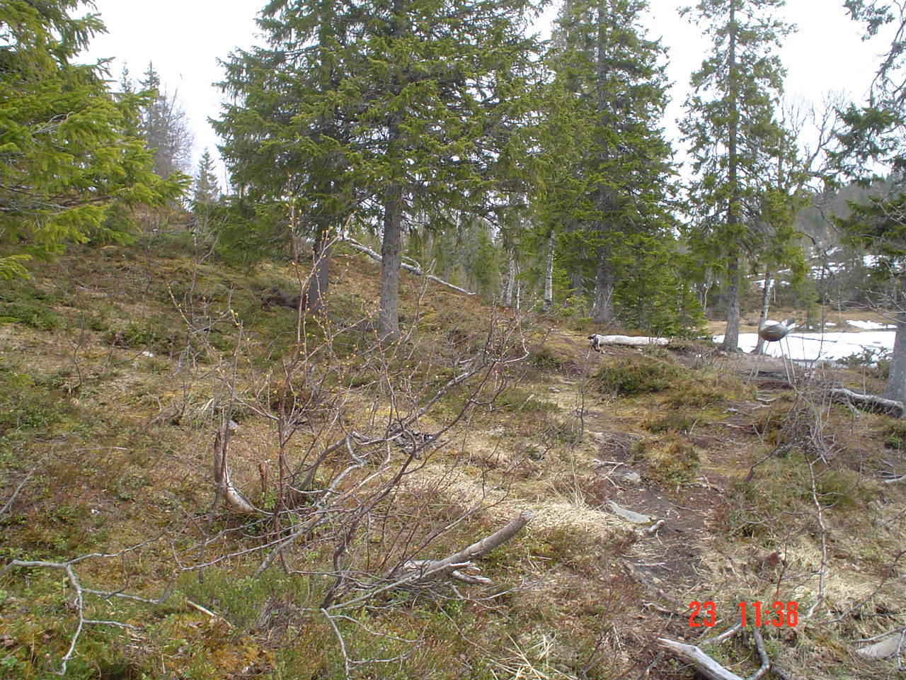 DSC01533.JPG