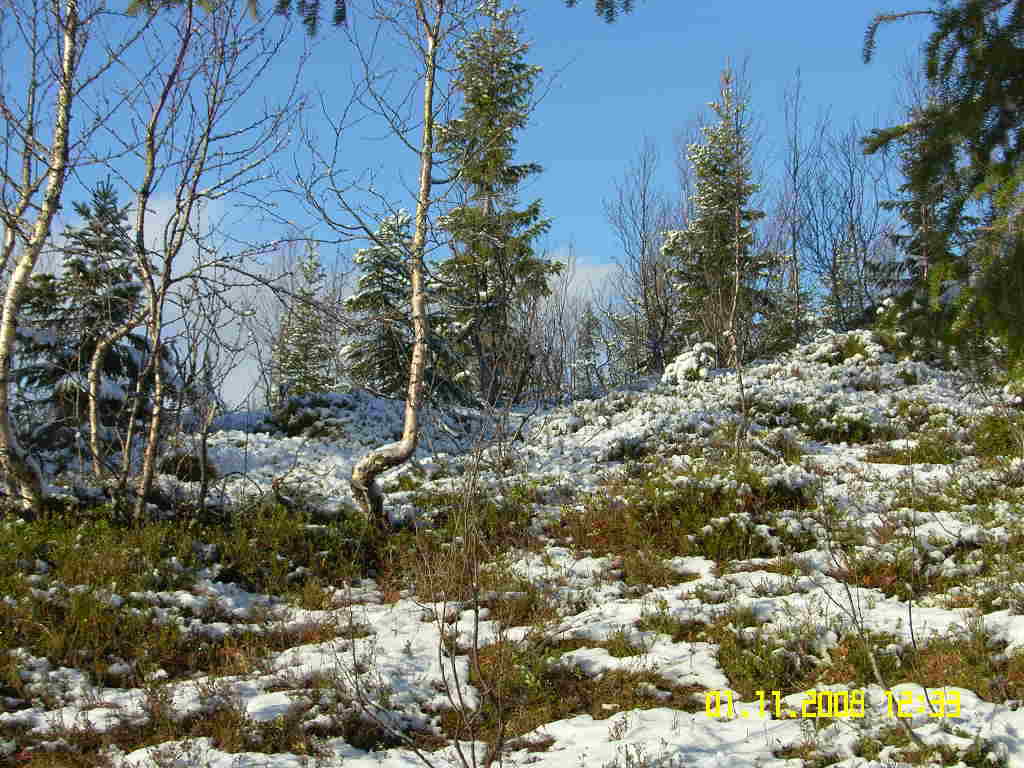 Gapahuk-16.JPG