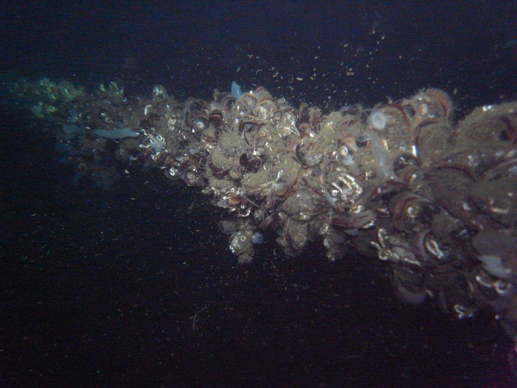 M0012048.jpg