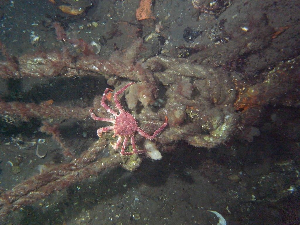 M0012052.jpg