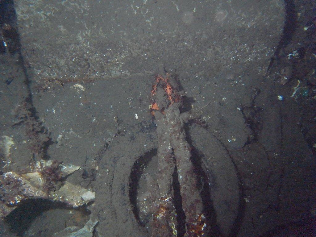 M0012053.jpg