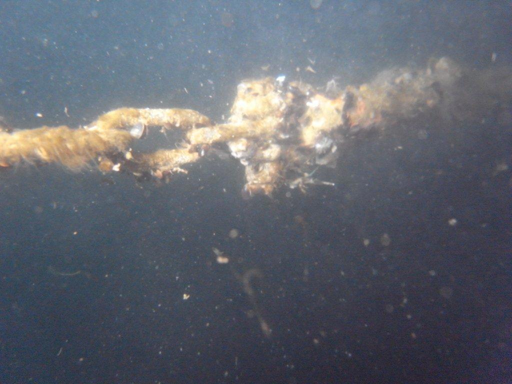 M0012056.jpg