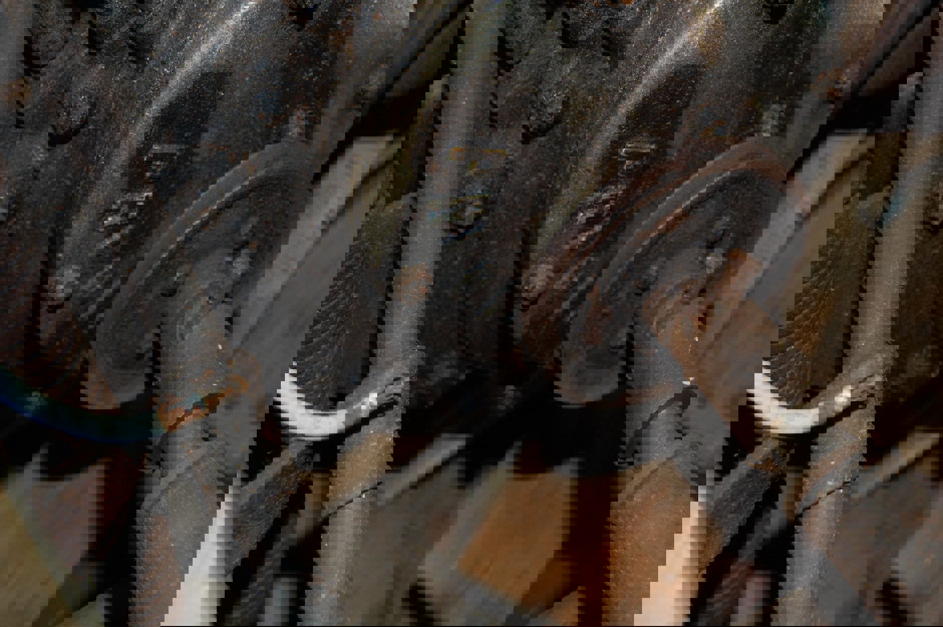 1 front motor.jpg